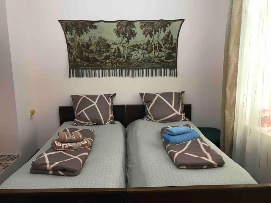Lada Guest House ティビリシ エクステリア 写真